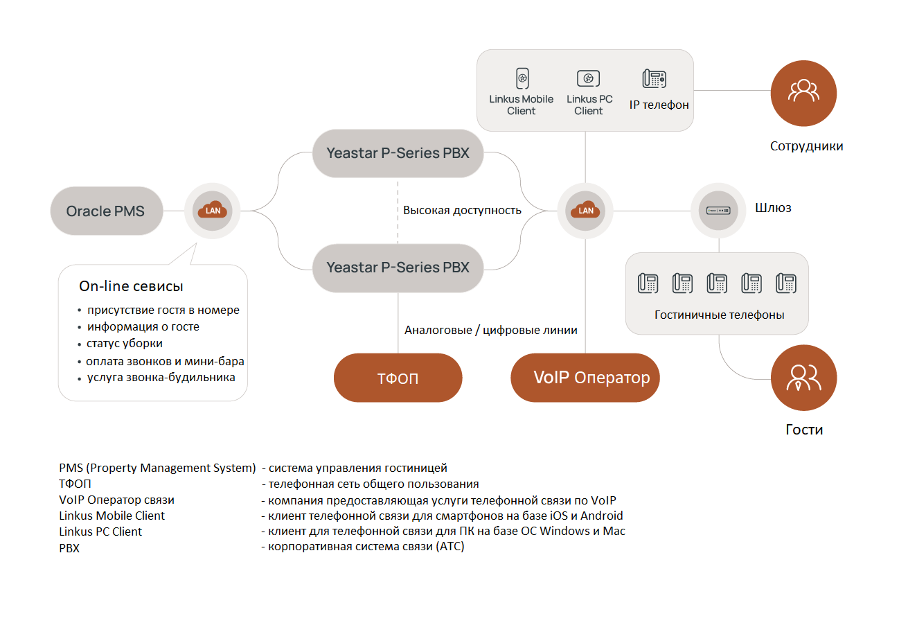 Лицензия серия P P570 PMS License